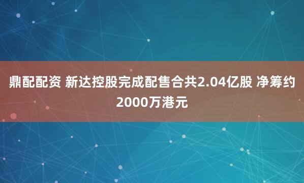 鼎配配资 新达控股完成配售合共2.04亿股 净筹约2000万港元