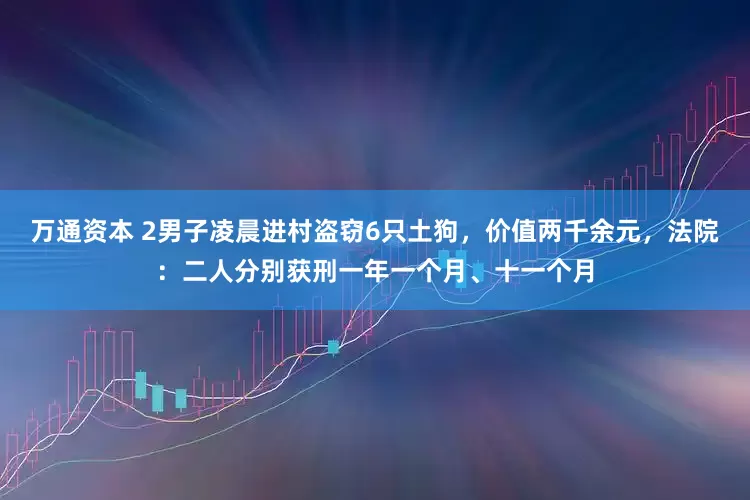 万通资本 2男子凌晨进村盗窃6只土狗，价值两千余元，法院：二人分别获刑一年一个月、十一个月
