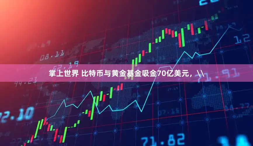 掌上世界 比特币与黄金基金吸金70亿美元，\